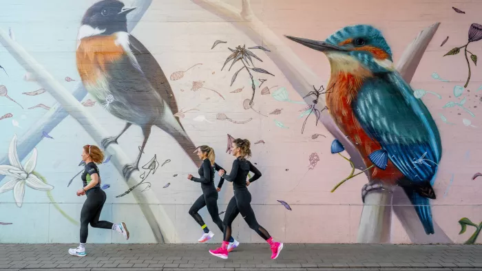 Looproutes - streetart Abdij van Park