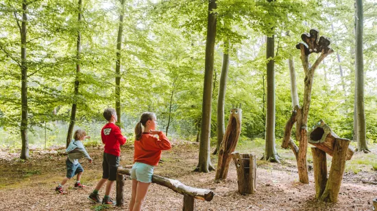 Vernieuwd speelbos Begijnenbos