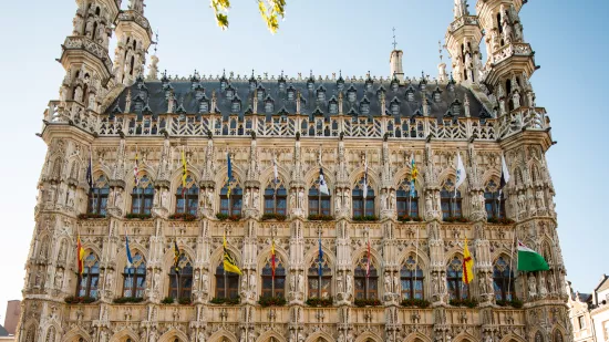 Leuven en regio Oost-Brabant worden Europese Culturele Hoofdstad 2030